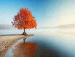 移﻿动‍端﻿性﻿能​优‍化‌的‍方﻿法​